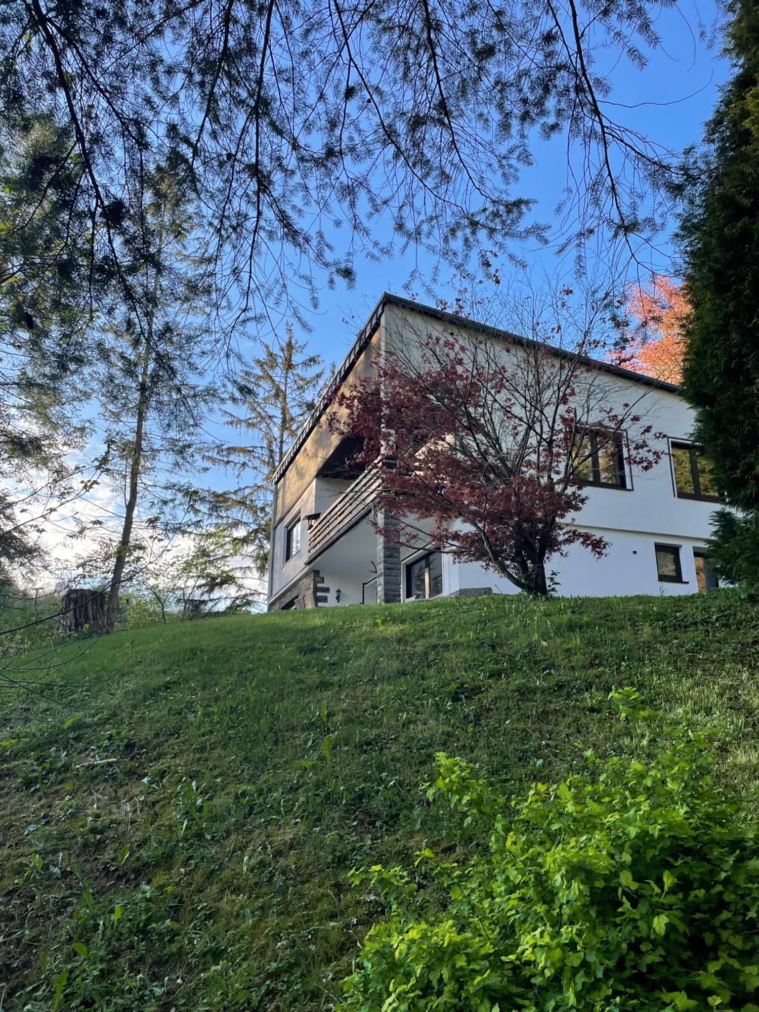 Talblick Chalet Blankenheim Бланкенхайм Экстерьер фото